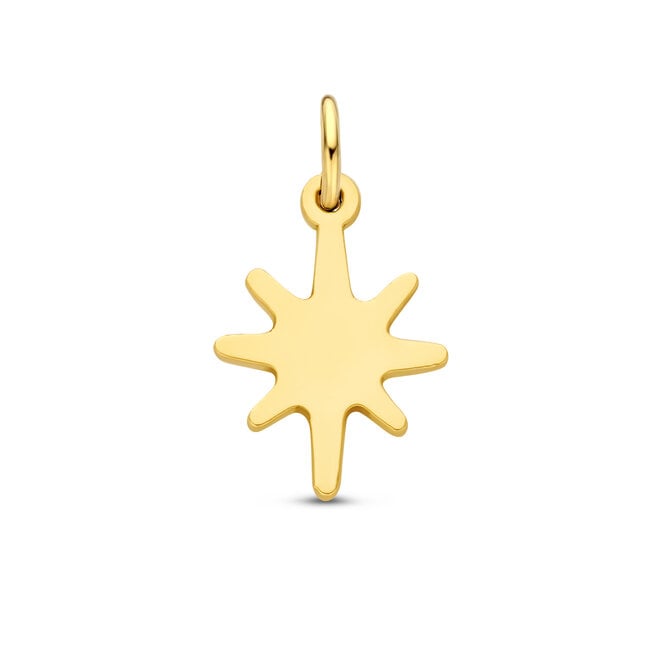 Charm Bedel Universe Ster 14K Goud