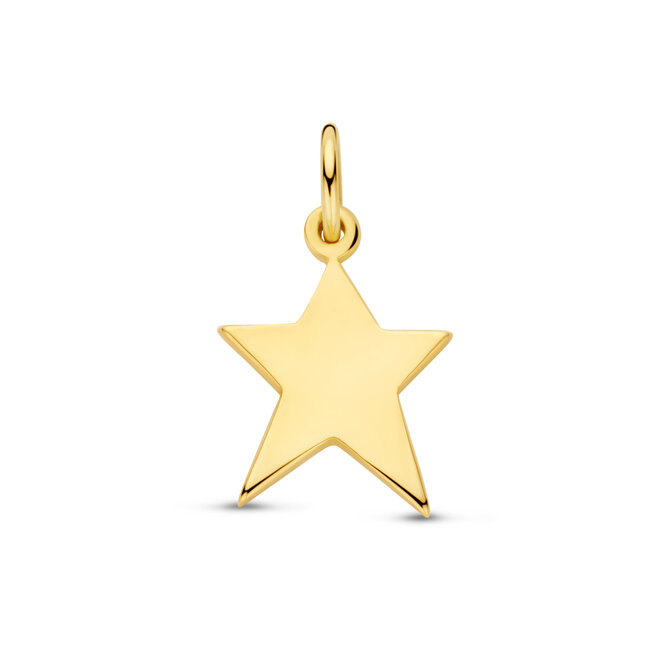 Charm Star 14K Gold