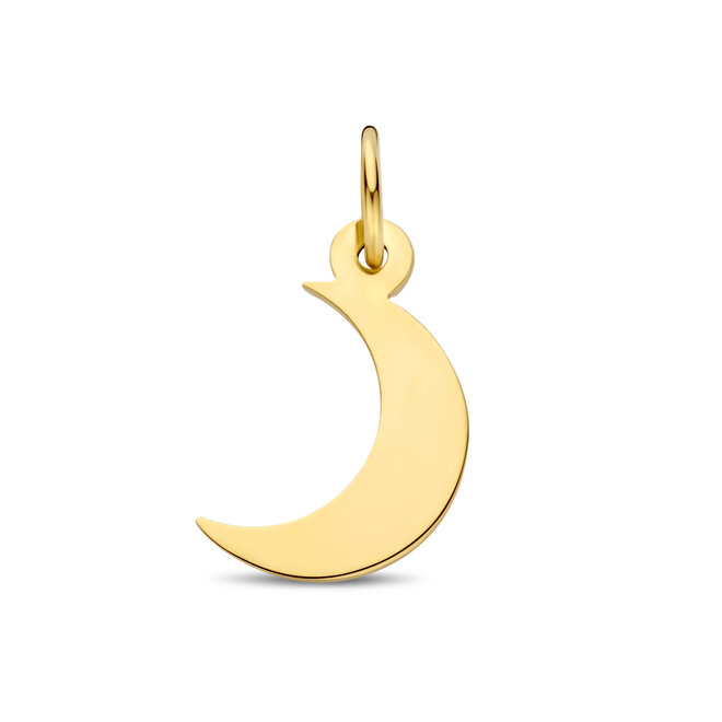 Charm Moon 14K Gold