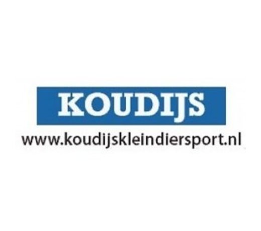 Koudijs