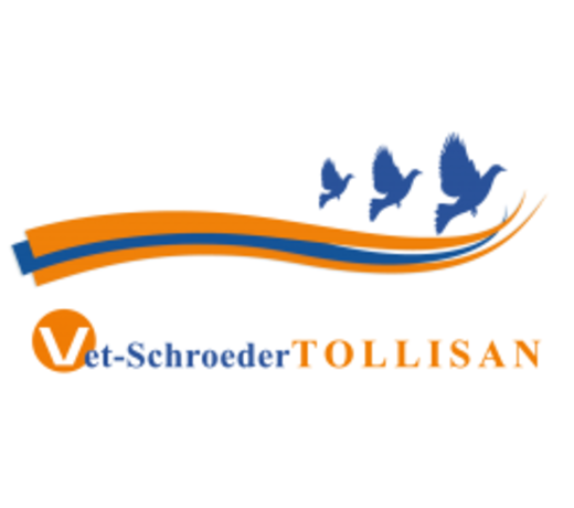 Vet-Schroeder Tollisan there’s no better way to race!