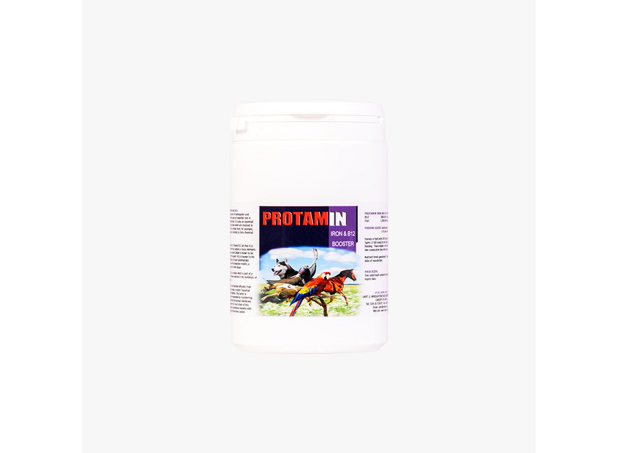 Protamin Iron & B12 - (650gr)