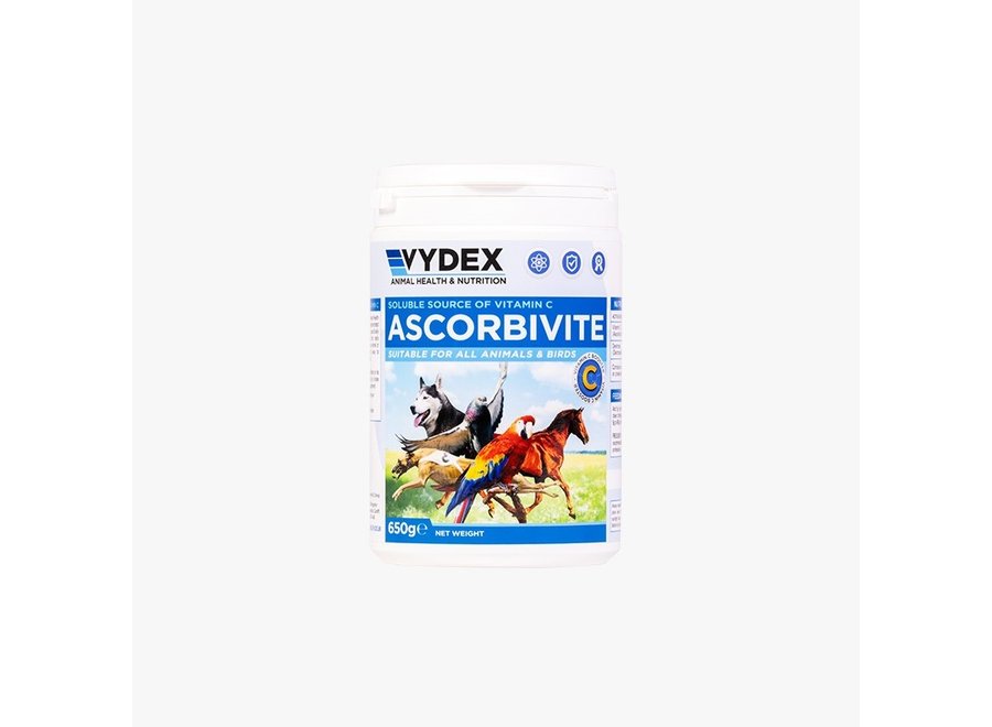 Acorbivite (vitamine c ) - (650gr)