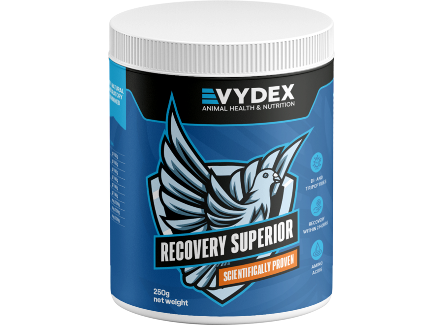 Recovery Suprior 250gr  (DSM)