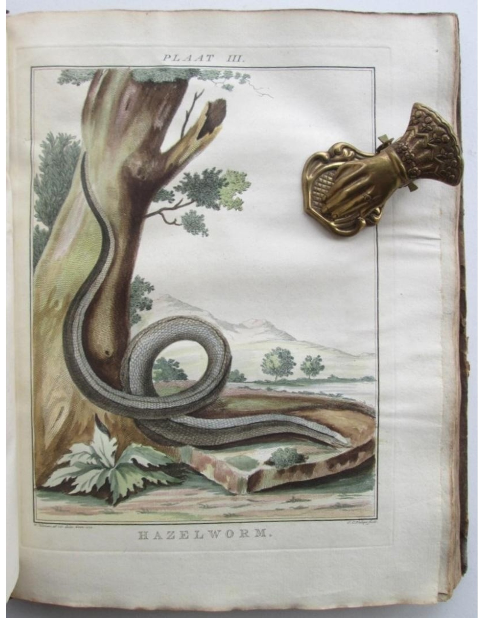 J. van Lier -  Verhandeling over de Slangen en Adders die in het Landschap Drenthe gevonden worden [...]
