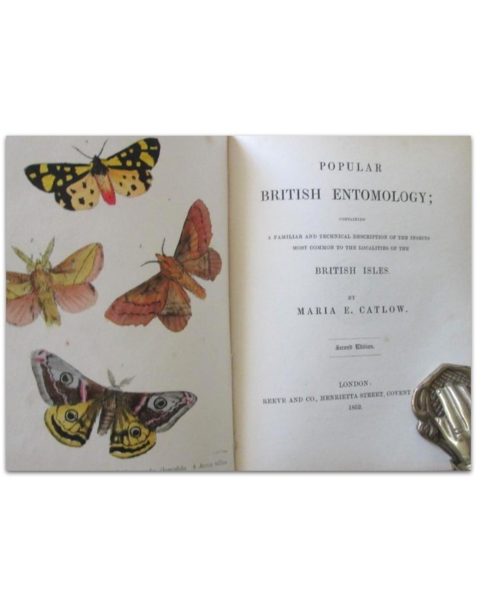 Maria E. Catlow - Popular British Entomology