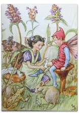 Cicely Mary Barker - Flower Fairies of the Wayside