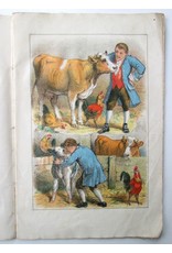 [Anoniem] - De geschiedenis van Het Huisje op het IJs. Linnen Prentenboek. Met gekleurde Plaatjes