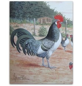 C.S.Th. van Gink - Poultry Paintings - 1992