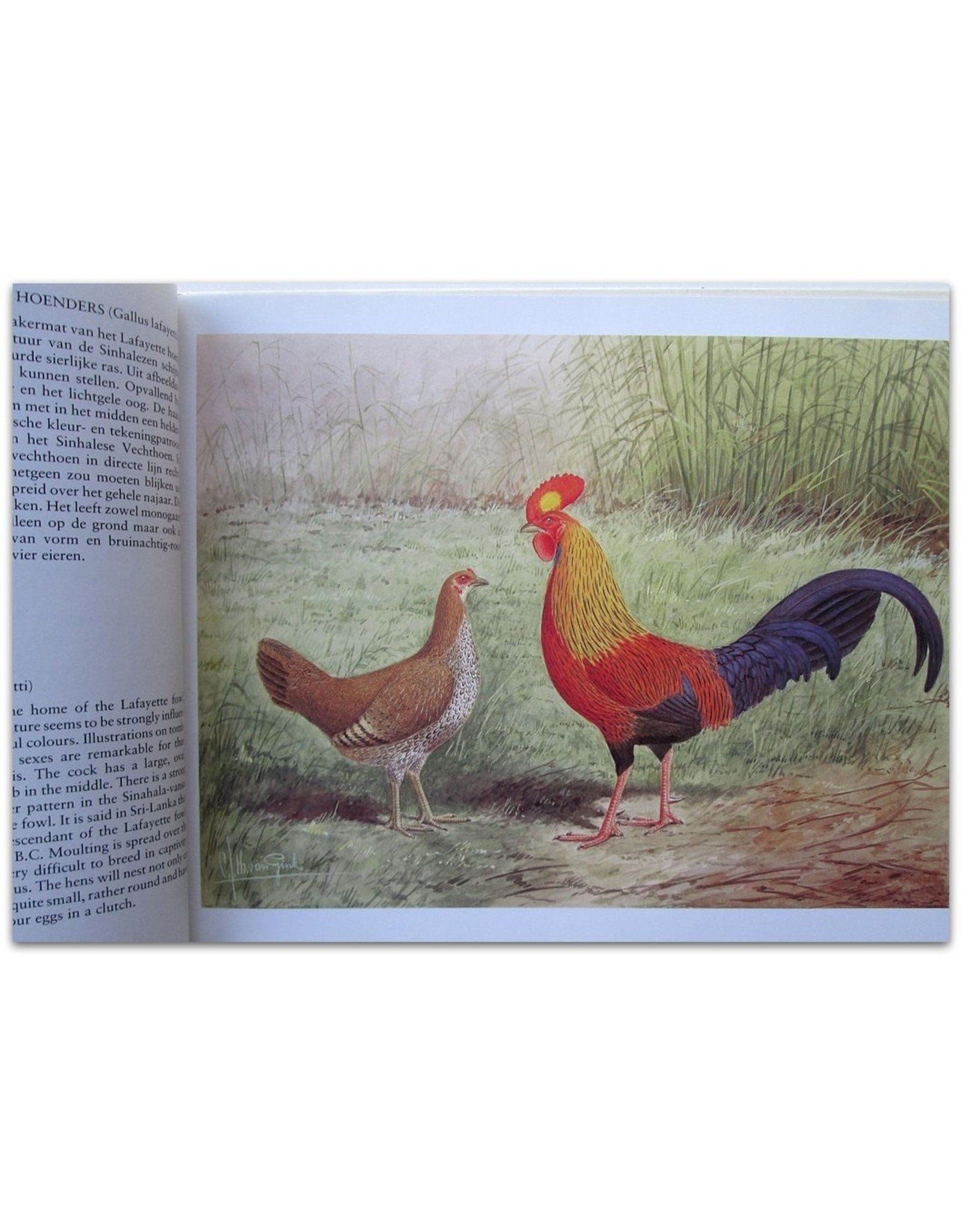 C.S.Th. van Gink's Poultry Paintings [1890-1968]. Preface and Introduction by Dr.Ir. P.C.M. Simon