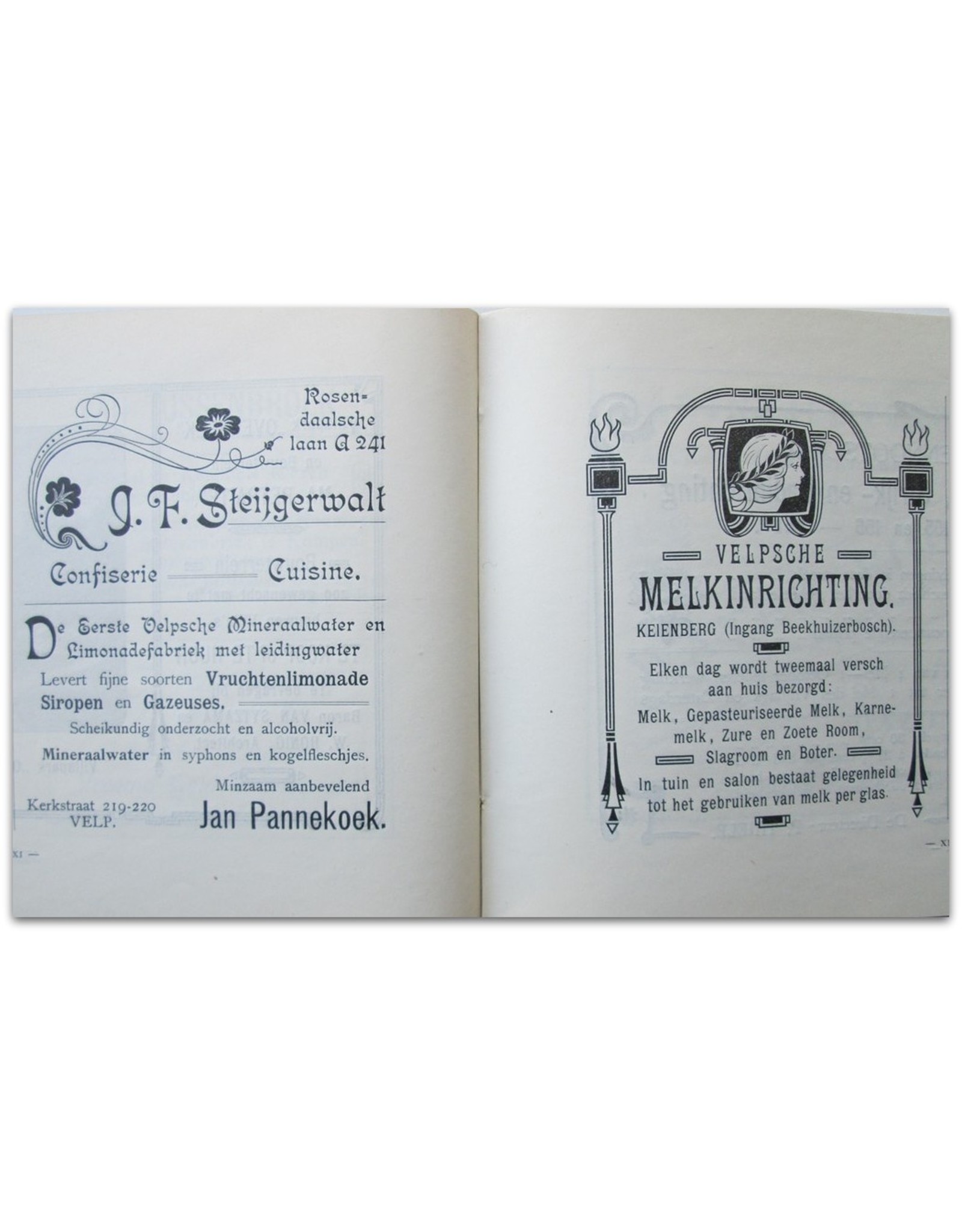 Gids voor Velp, Rosendaal en Omstreken met groote wandelkaart, platte grond van Velp, kaart van de wandelingen door de Beekhuizer bosschen, alle in kleuren en 12 Gezichten [...]