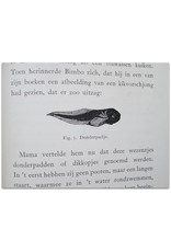 Grace Ch. Young - Bimbo: De Geschiedenis van den Ooievaar. Door Tante Willy [...], in het Nederlandsch bewerkt door Mevr. A.H.J. Nolst Trenité. Met een titelplaat en 25 figuren in den tekst