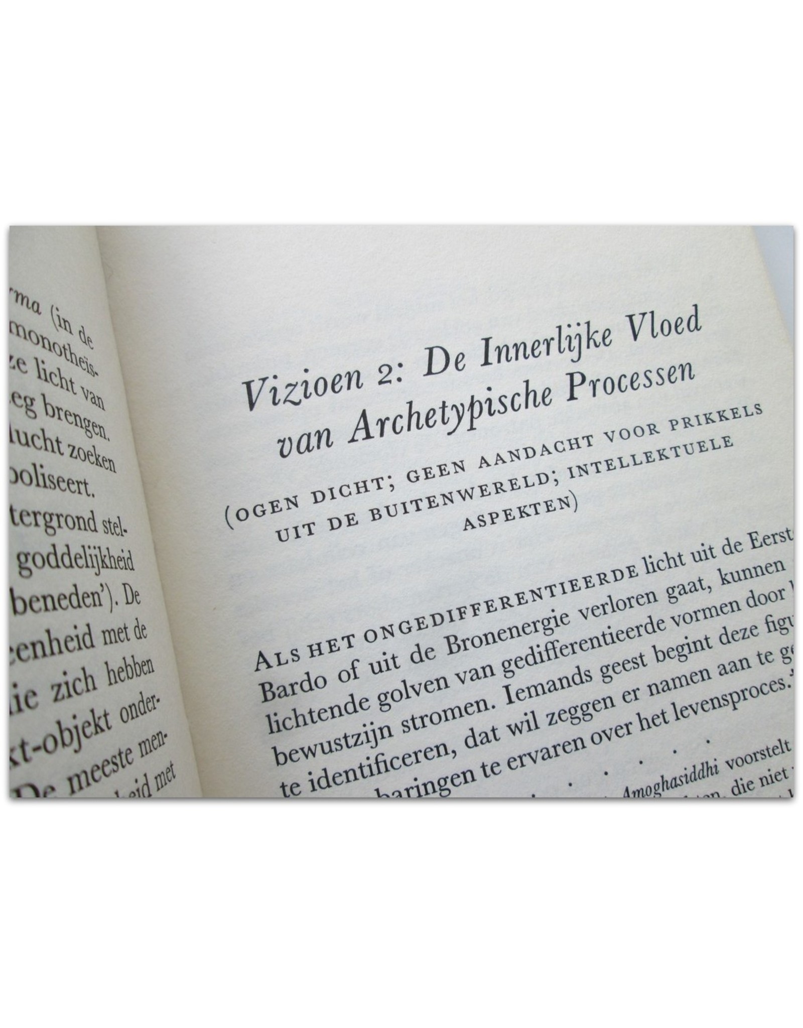 Timothy Leary - De psychedelische ervaring: Een handboek gebaseerd op het Tibetaanse Dodenboek. Vertaling Richard Hübner & Simon Vinkenoog