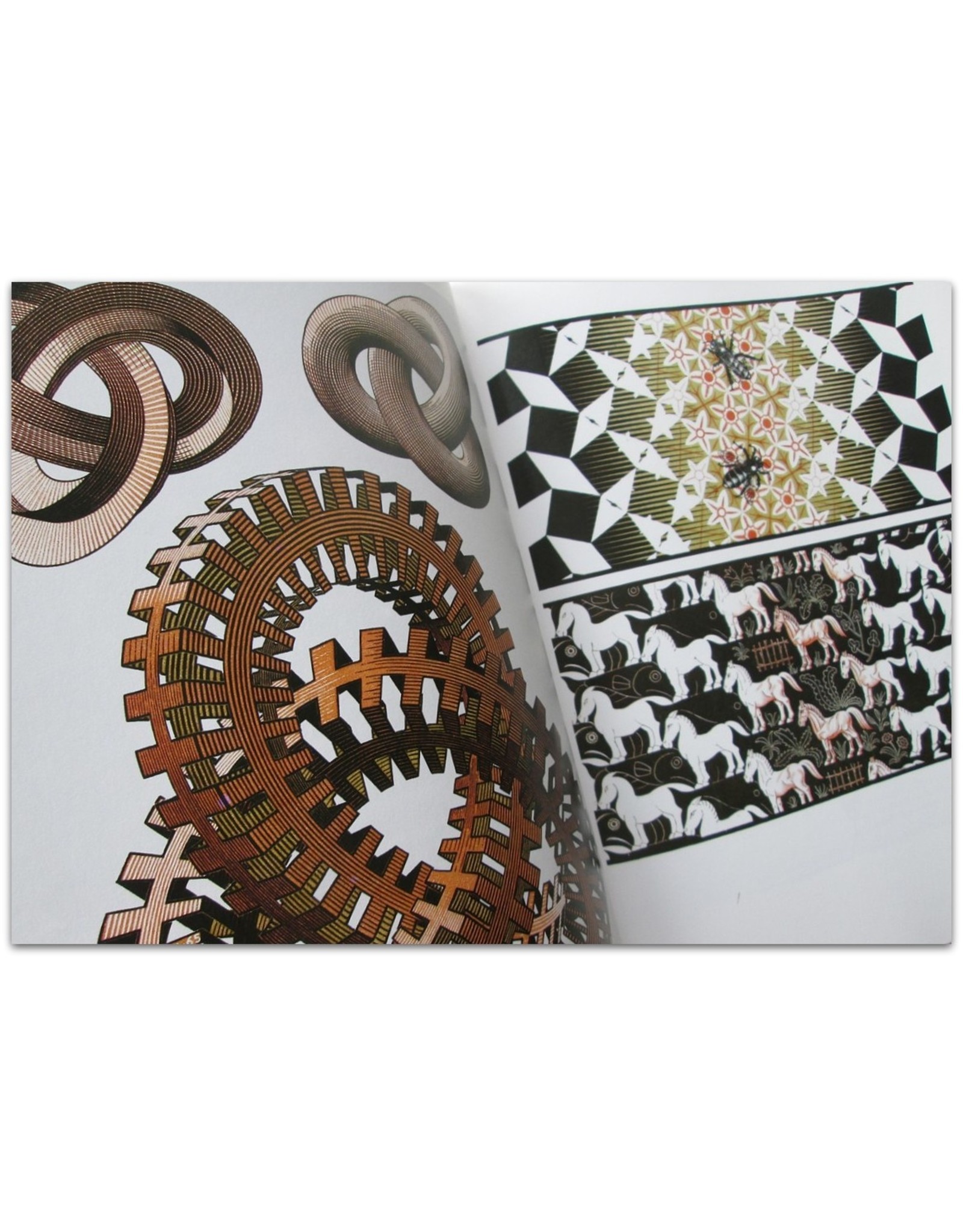 M.C. Escher: His Life and Complete Graphic Work. With a Fully Illustrated Catalogue. With Essays by Bruno Ernst [and] M.C. Escher