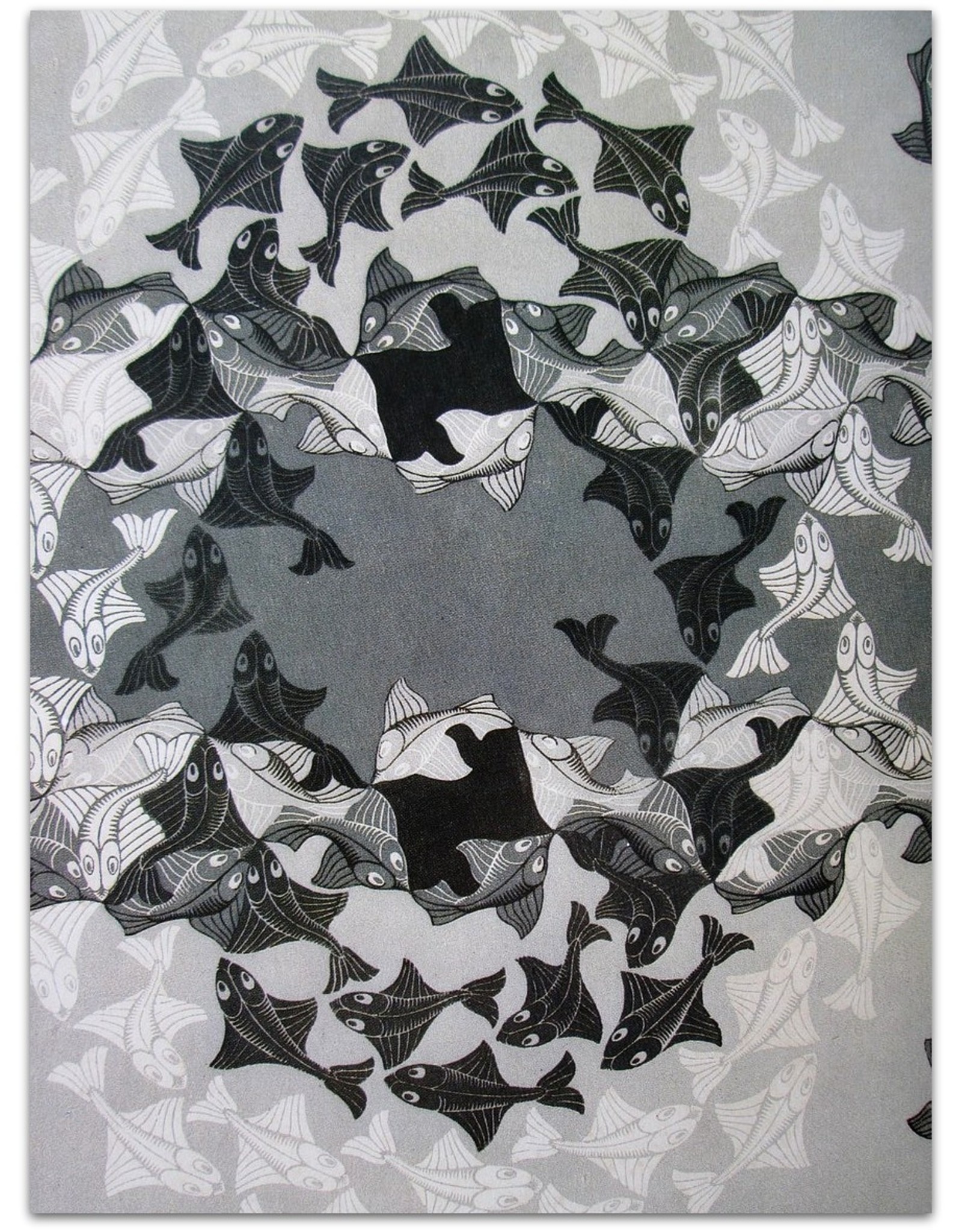 M.C. Escher: His Life and Complete Graphic Work. With a Fully Illustrated Catalogue. With Essays by Bruno Ernst [and] M.C. Escher