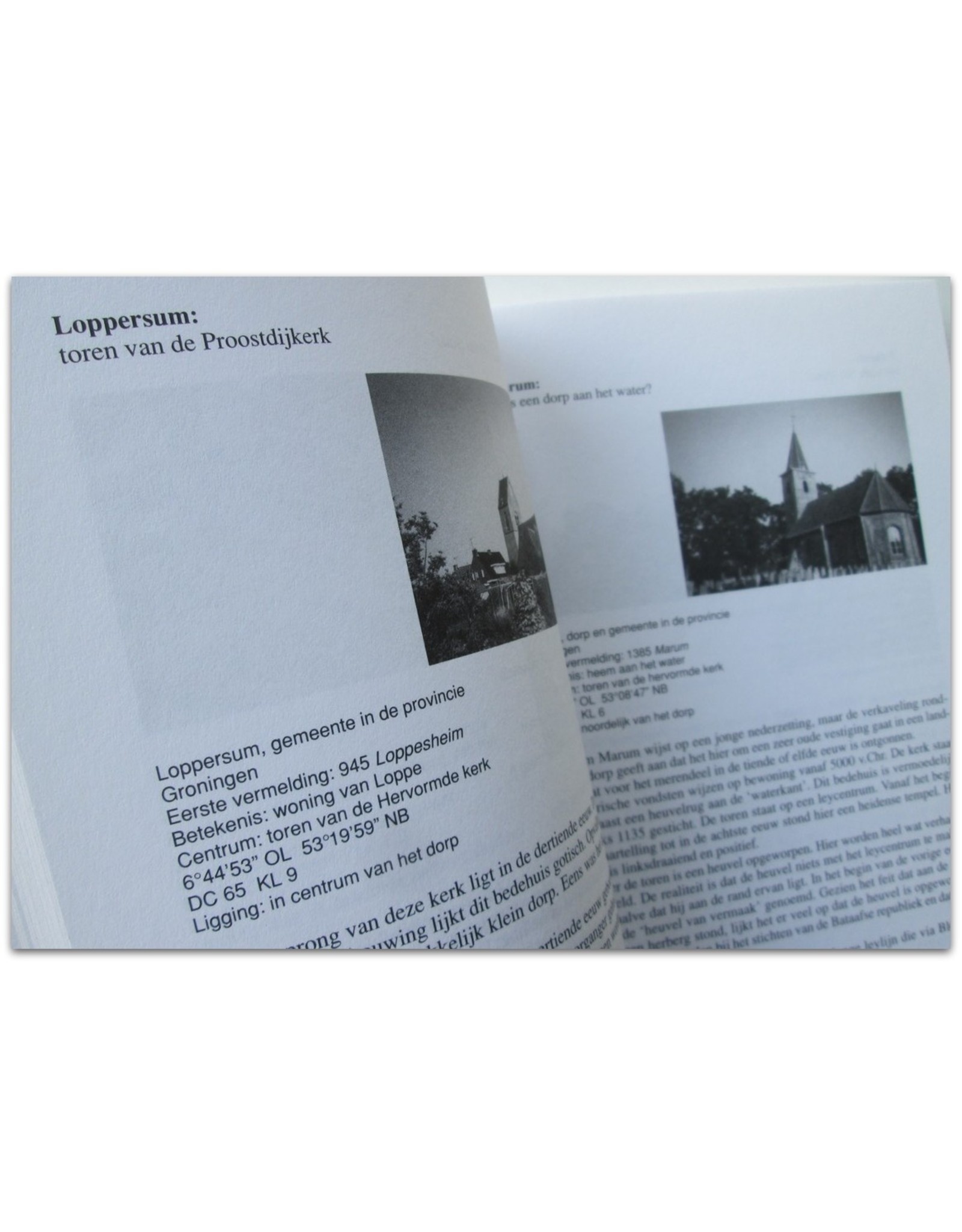 Wigholt Vleer - Leylijnen en leycentra in de Lage Landen: 200 heilige plaatsen in Nederland en Vlaanderen. Met medewerking van Dick van den Dool