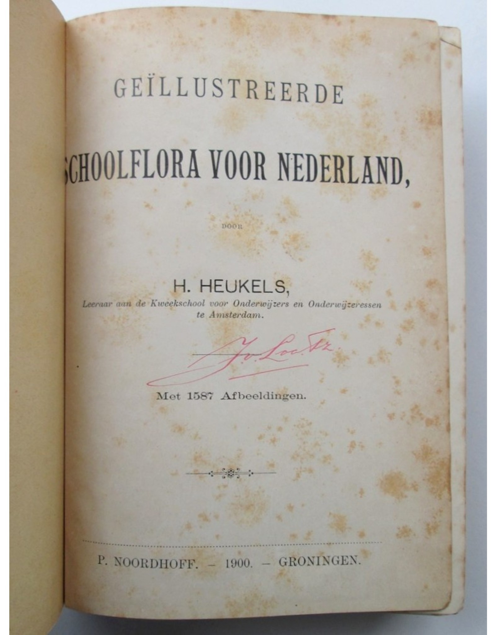 H. Heukels - Geïllustreerde Schoolflora voor Nederland. Met 1587 Afbeeldingen