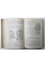 H. Heukels - Geïllustreerde Schoolflora voor Nederland. Met 1587 Afbeeldingen