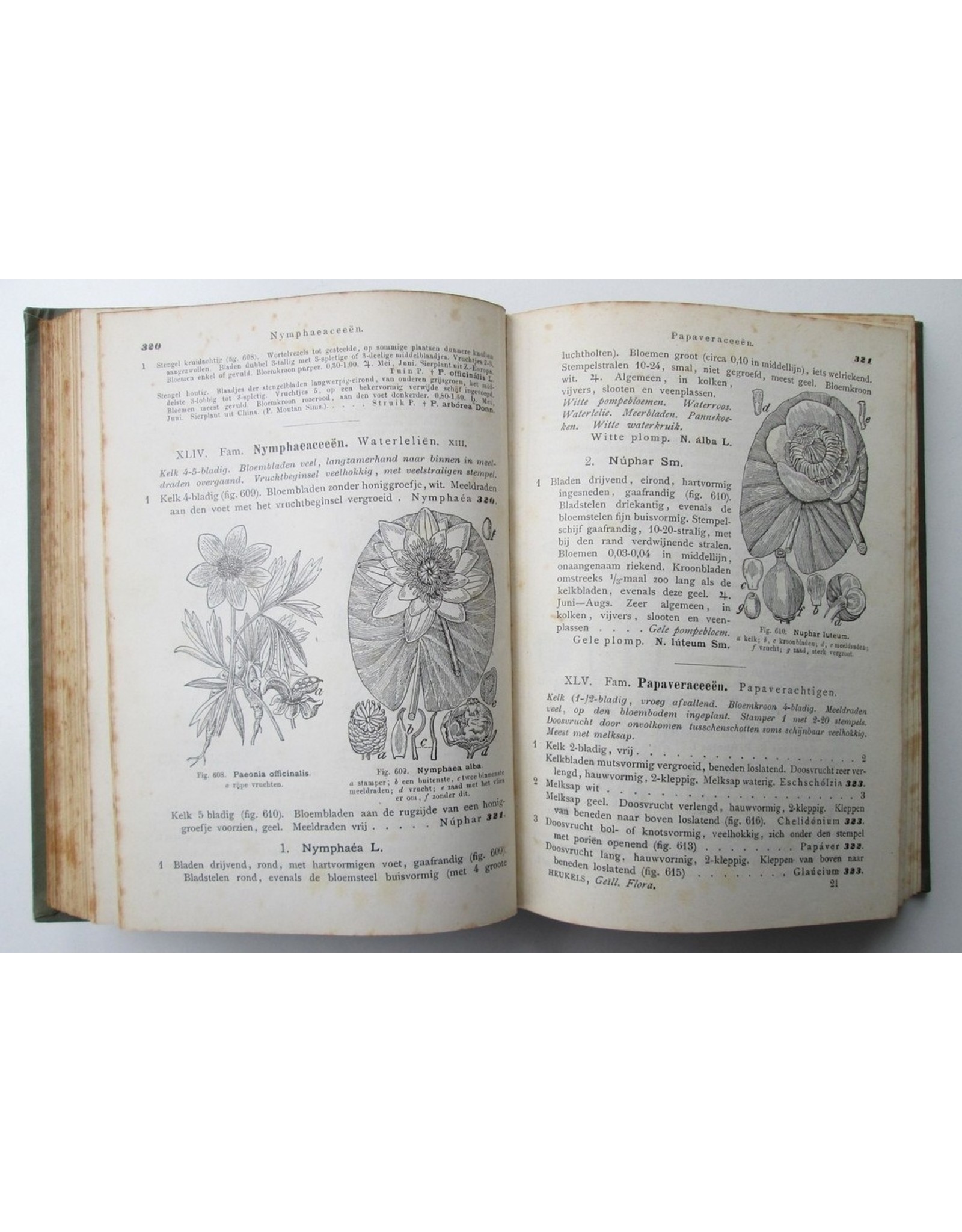 H. Heukels - Geïllustreerde Schoolflora voor Nederland. Met 1587 Afbeeldingen