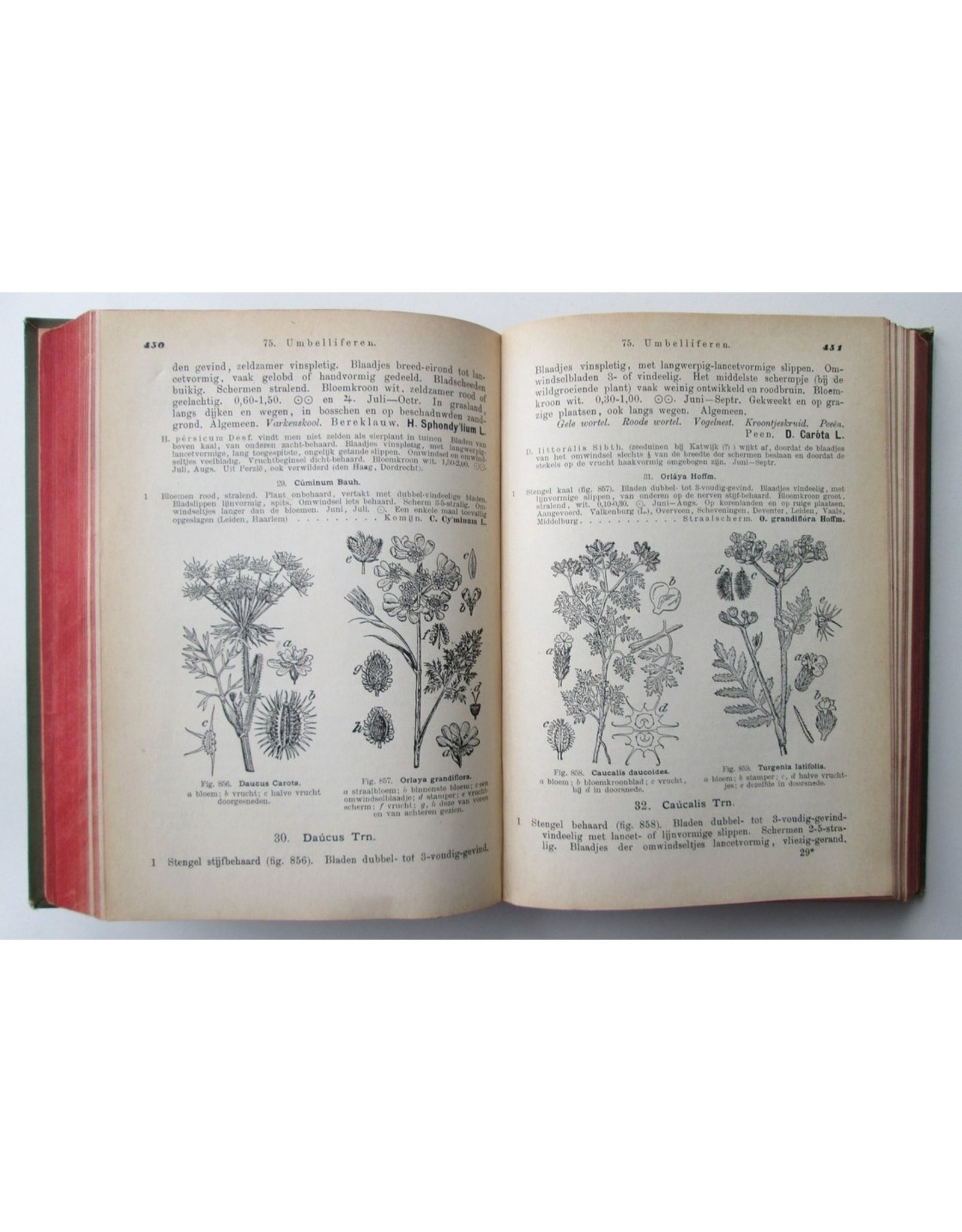 H. Heukels - Geïllustreerde Schoolflora voor Nederland. Tweede, vermeerderde en verbeterde druk. Met 1565 Afbeeldingen