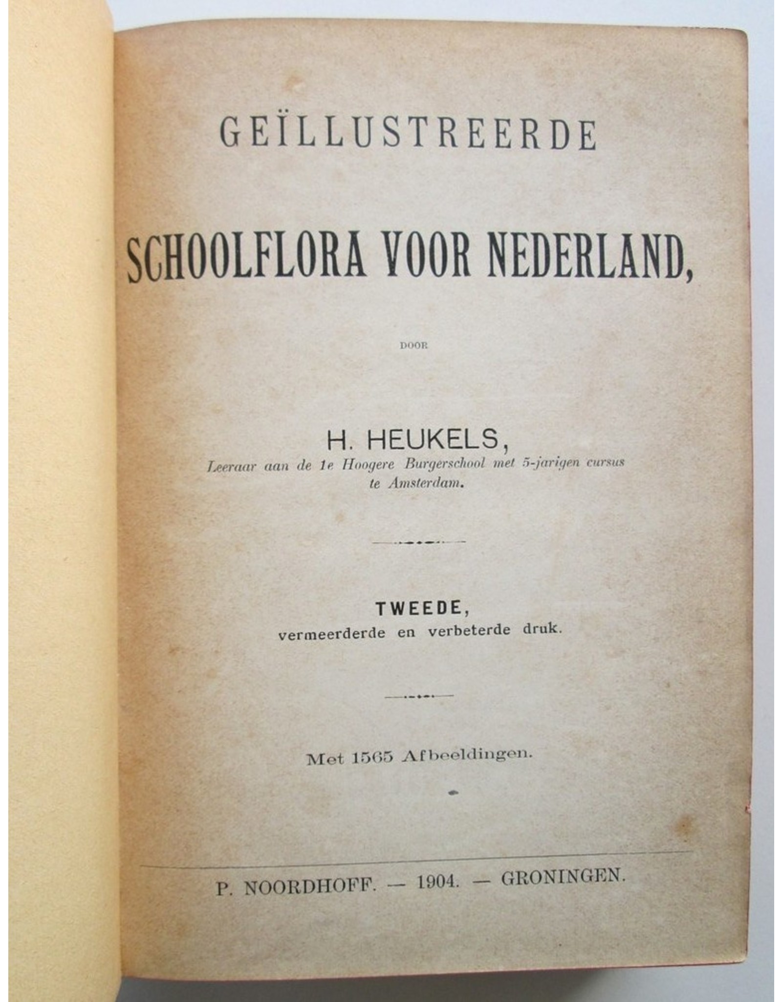 H. Heukels - Geïllustreerde Schoolflora voor Nederland. Tweede, vermeerderde en verbeterde druk. Met 1565 Afbeeldingen