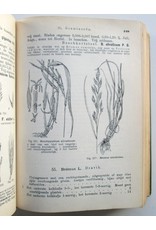 H. Heukels - Geïllustreerde Schoolflora voor Nederland. Zesde, vermeerderde en verbeterde druk. Met 1615 Afbeeldingen