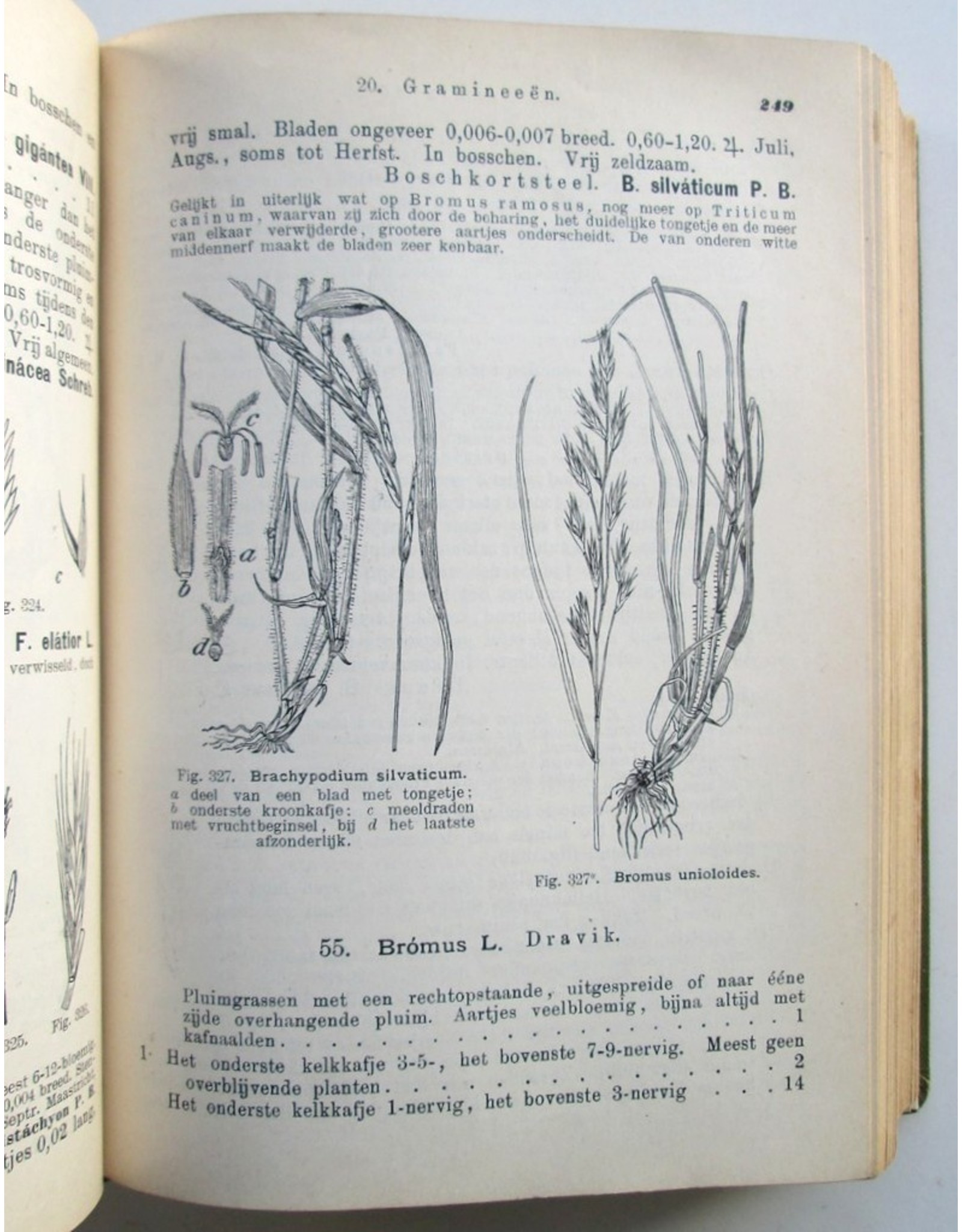 H. Heukels - Geïllustreerde Schoolflora voor Nederland. Zesde, vermeerderde en verbeterde druk. Met 1615 Afbeeldingen