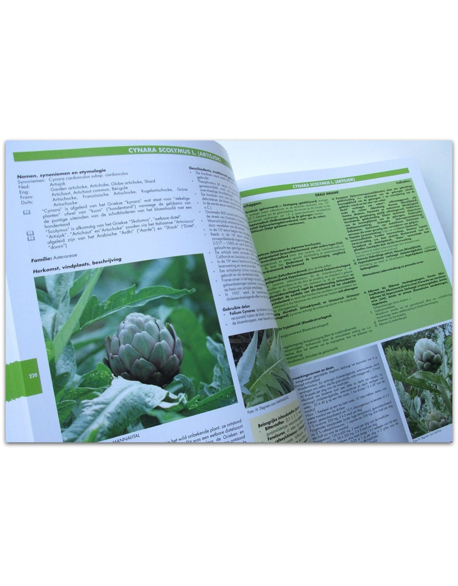 G. Verhelst - Groot Handboek Geneeskrachtige Planten [Tiende editie]