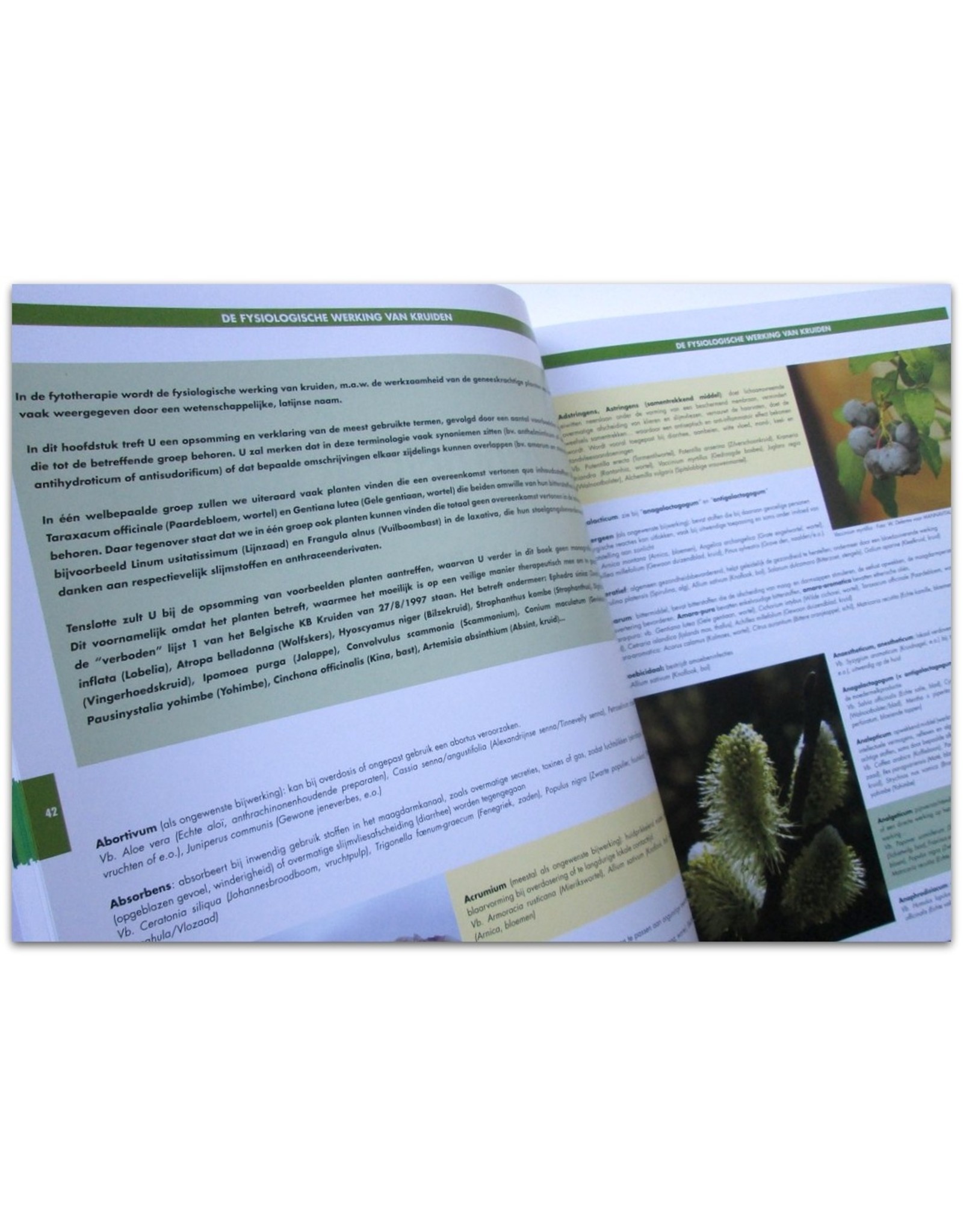 G. Verhelst - Groot Handboek Geneeskrachtige Planten [Tiende editie]