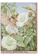 Cicely Mary Barker - Flower Fairies of the Wayside