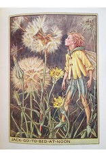 Cicely Mary Barker - Flower Fairies of the Wayside