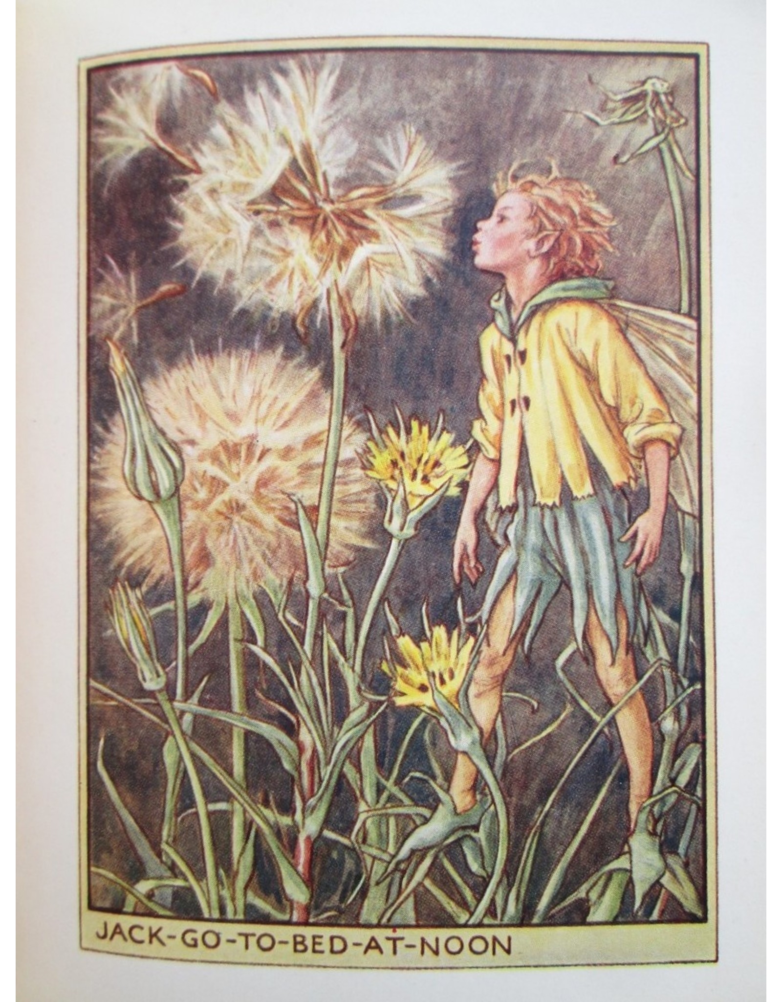 Cicely Mary Barker - Flower Fairies of the Wayside