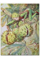 Cicely Mary Barker Flower Fairies of the Autumn. With the Nuts and Berries they bring. Poems and pictures