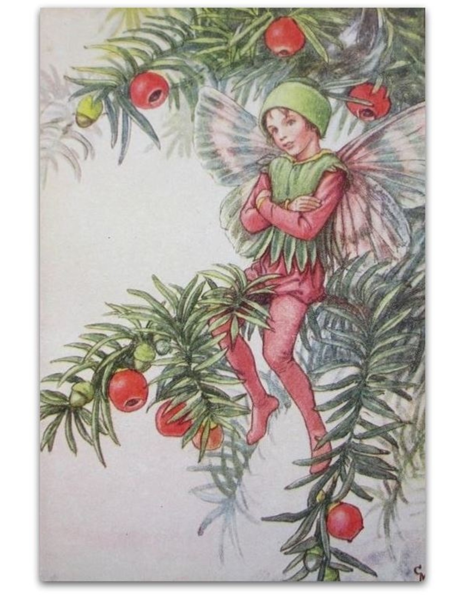 Cicely Mary Barker Flower Fairies of the Autumn. With the Nuts and Berries they bring. Poems and pictures