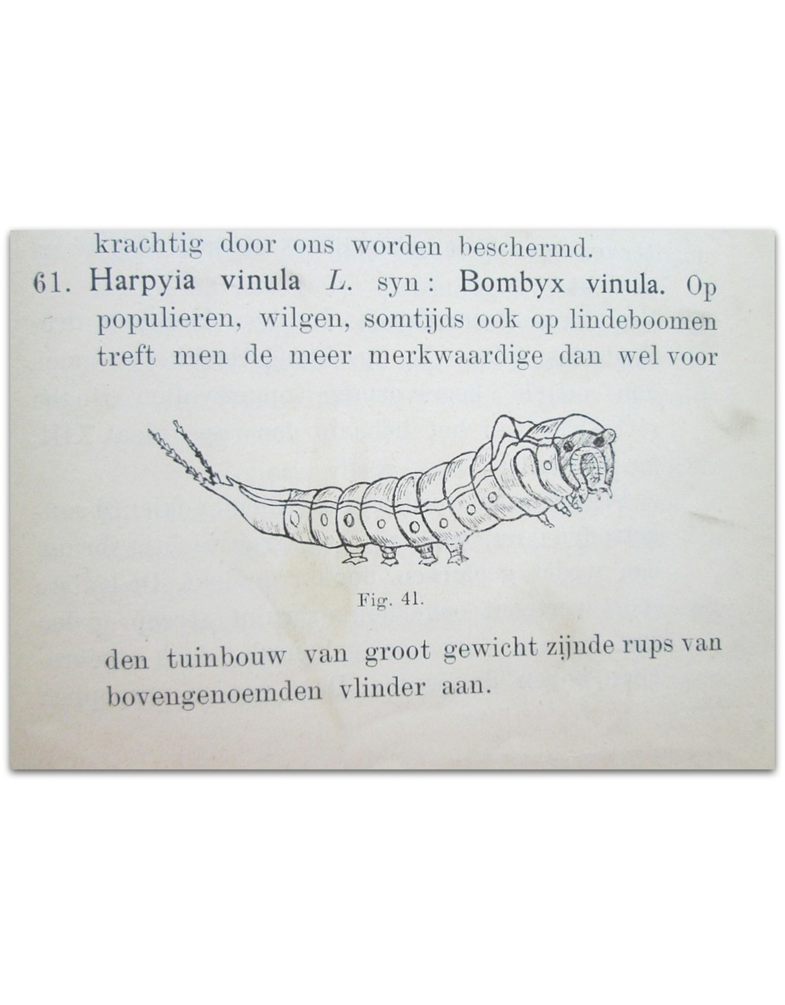 W. Chr. Noske - Vijanden van den Tuinbouw en hunne bestrijdingsmiddelen: Handboek voor tuinlieden en liefhebbers. Met [...] Afbeeldingen, naar de natuur geteekend door den Schrijver