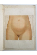 Dr. Arthur E. Giles - Anatomie en Physiologie van de Vrouwelijke Geslachtsorganen en van de Zwangerschap. Met verklarenden Tekst [...]