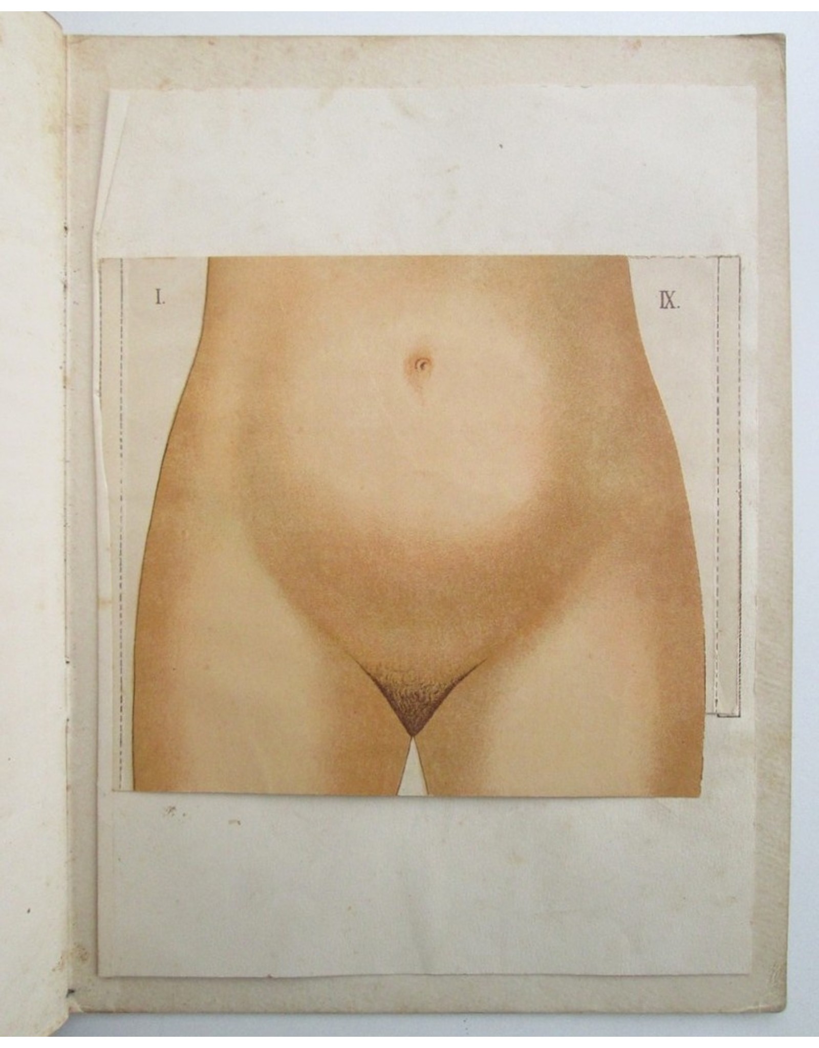 Dr. Arthur E. Giles - Anatomie en Physiologie van de Vrouwelijke Geslachtsorganen en van de Zwangerschap. Met verklarenden Tekst [...]