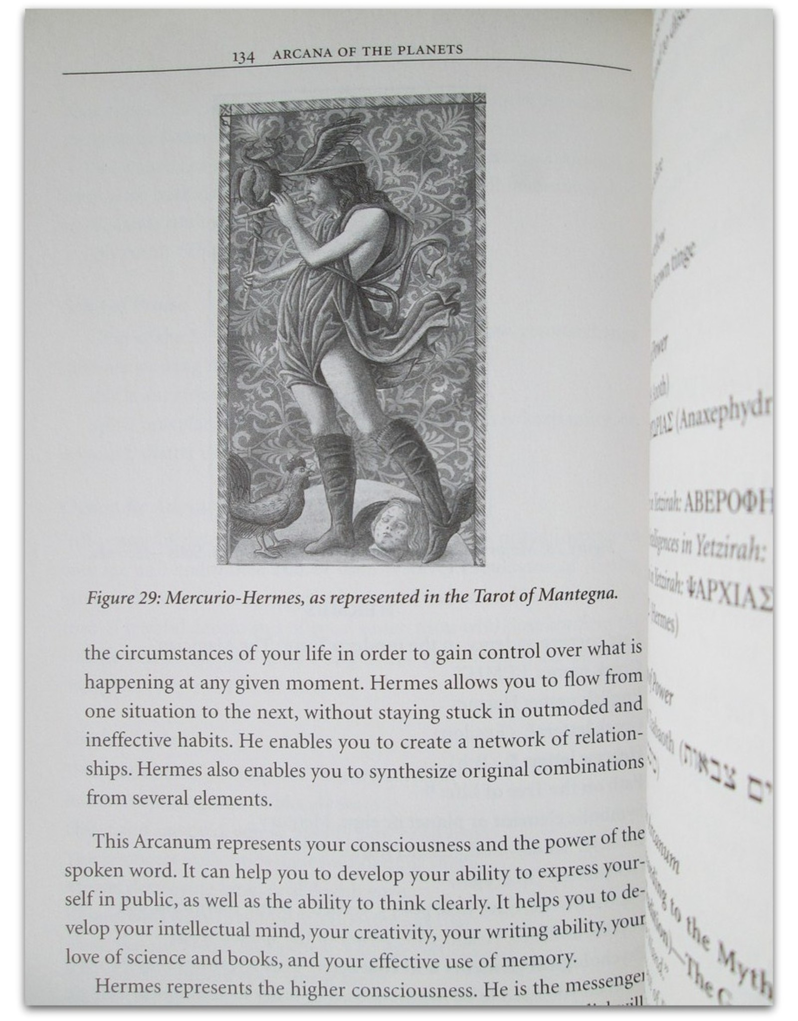 Jean-Louis de Biasi - The Divine Arcana of the Aurum Solis. Using Tarot Talismans for Ritual & Initation