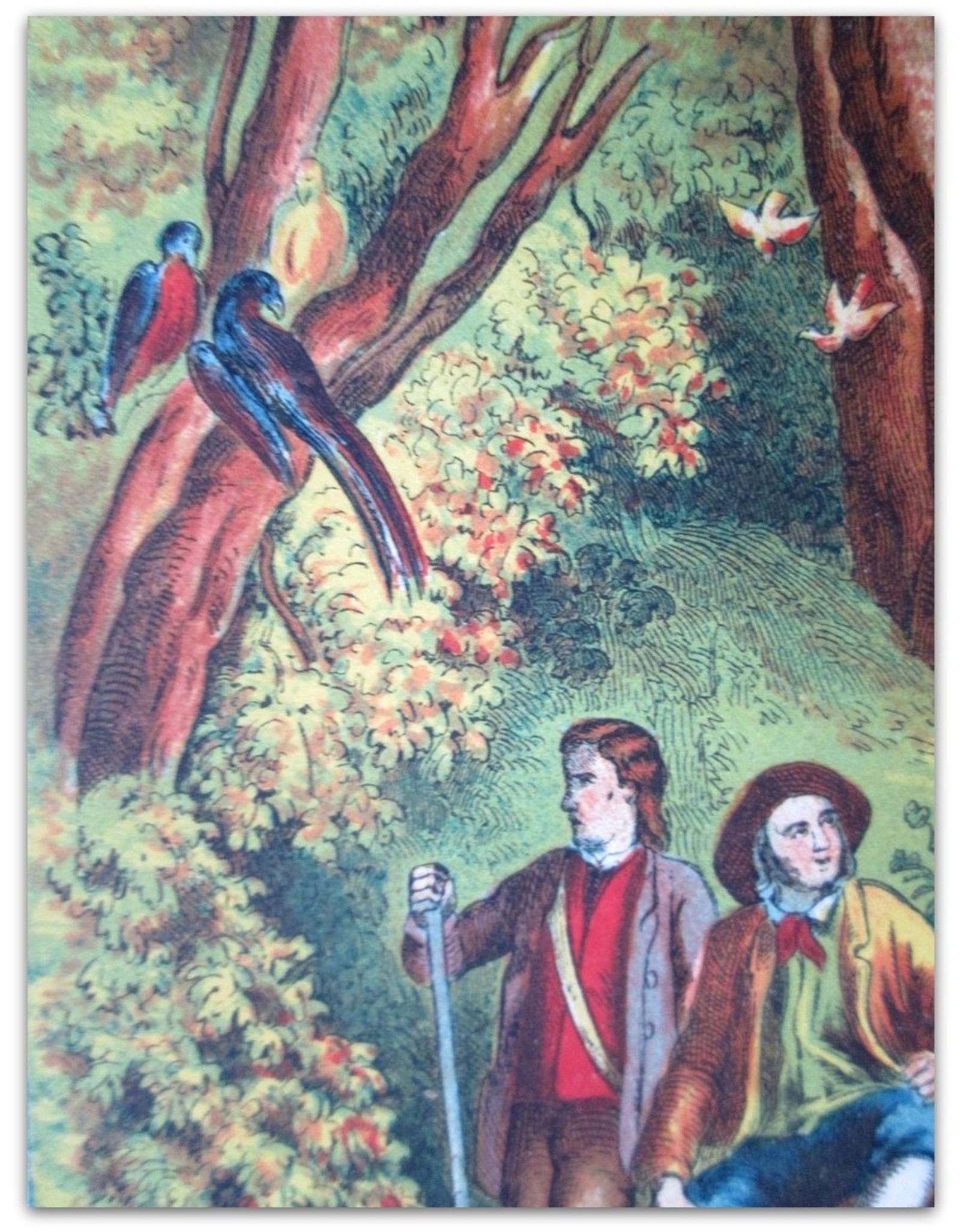 [Johann David Wyss] - De Zwitsersche Robinson Crusoe. Eene geschiedenis; voor kinderen naverteld door J.J.A. Goeverneur