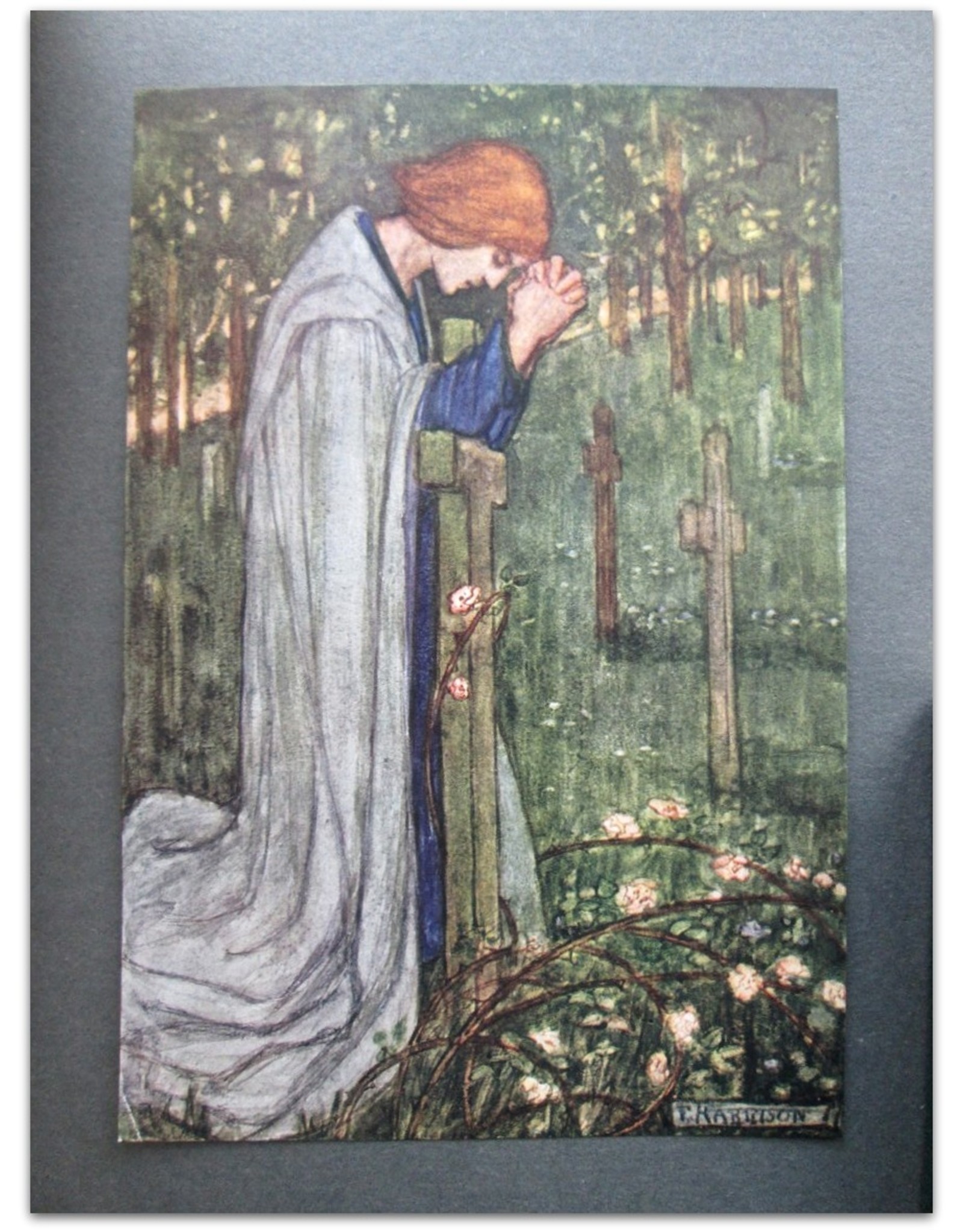 Alfred Lord Tennyson - Guinevere and Other Poems. Illustrated by Florence Harrison