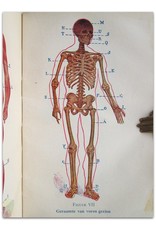 Dr. O. Dubois - De Nieuwe Geneeskunde. Theoretische en praktische behandeling van Gebruikelijke Genees- en Artsenijkunde, [...]