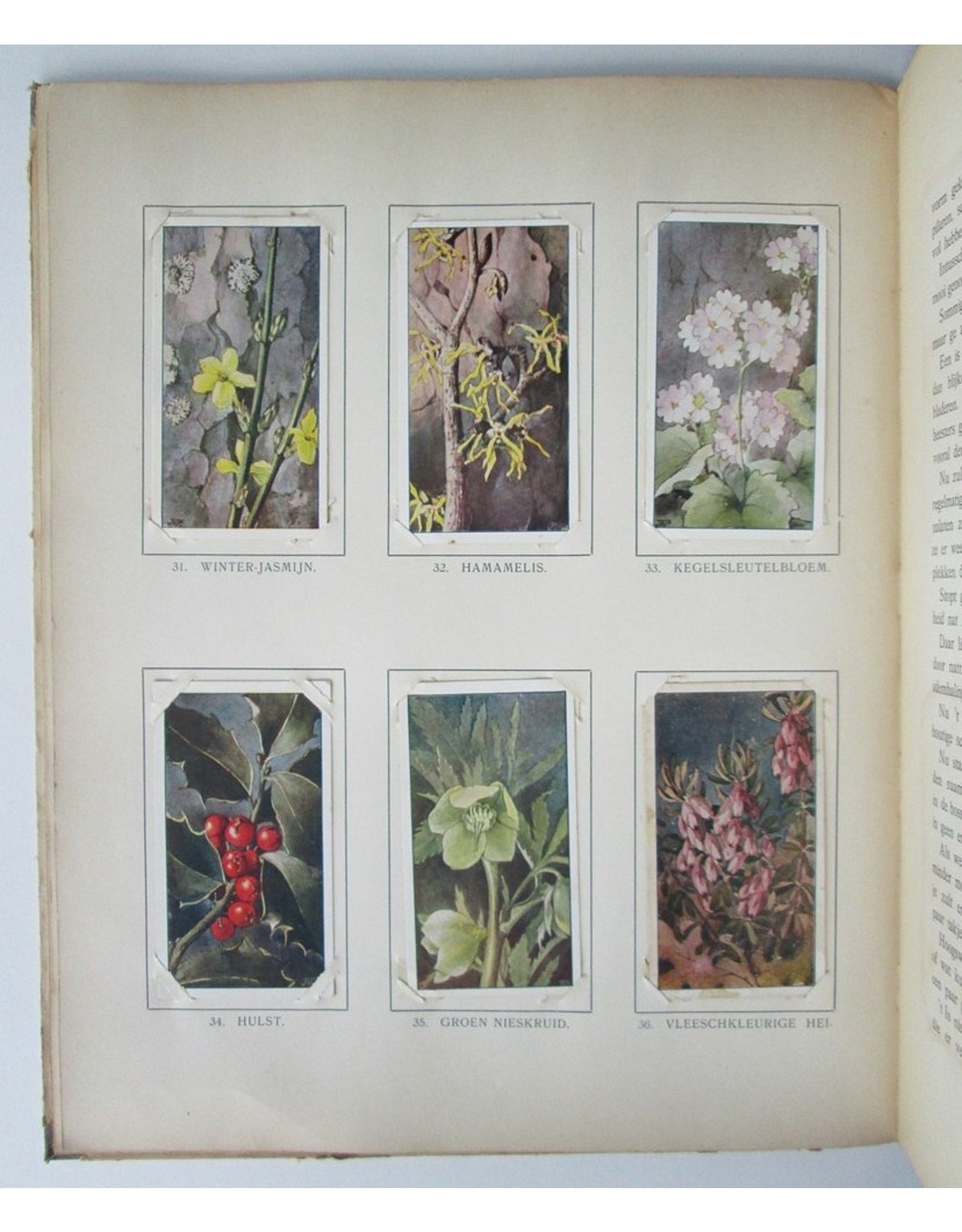 Jac. P. Thijsse Winter - Te illustreeren met Verkade's plaatjes, naar teekeningen van L.W.R. Wenckebach, Jan van Oort en Jan Voerman Jr.