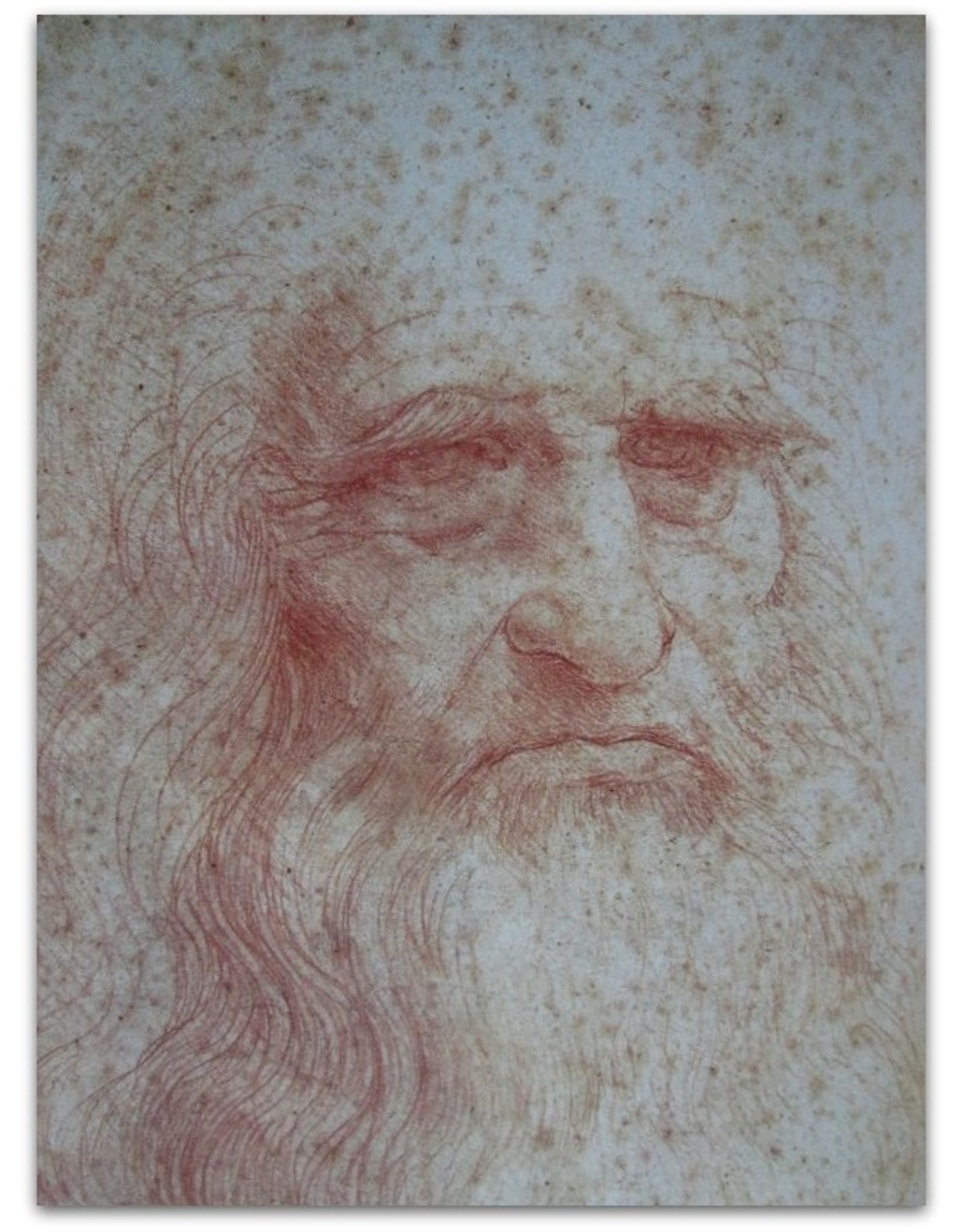 Frank Zöllner - Leonardo da Vinci 1452-1519. Alle schilderijen en tekeningen