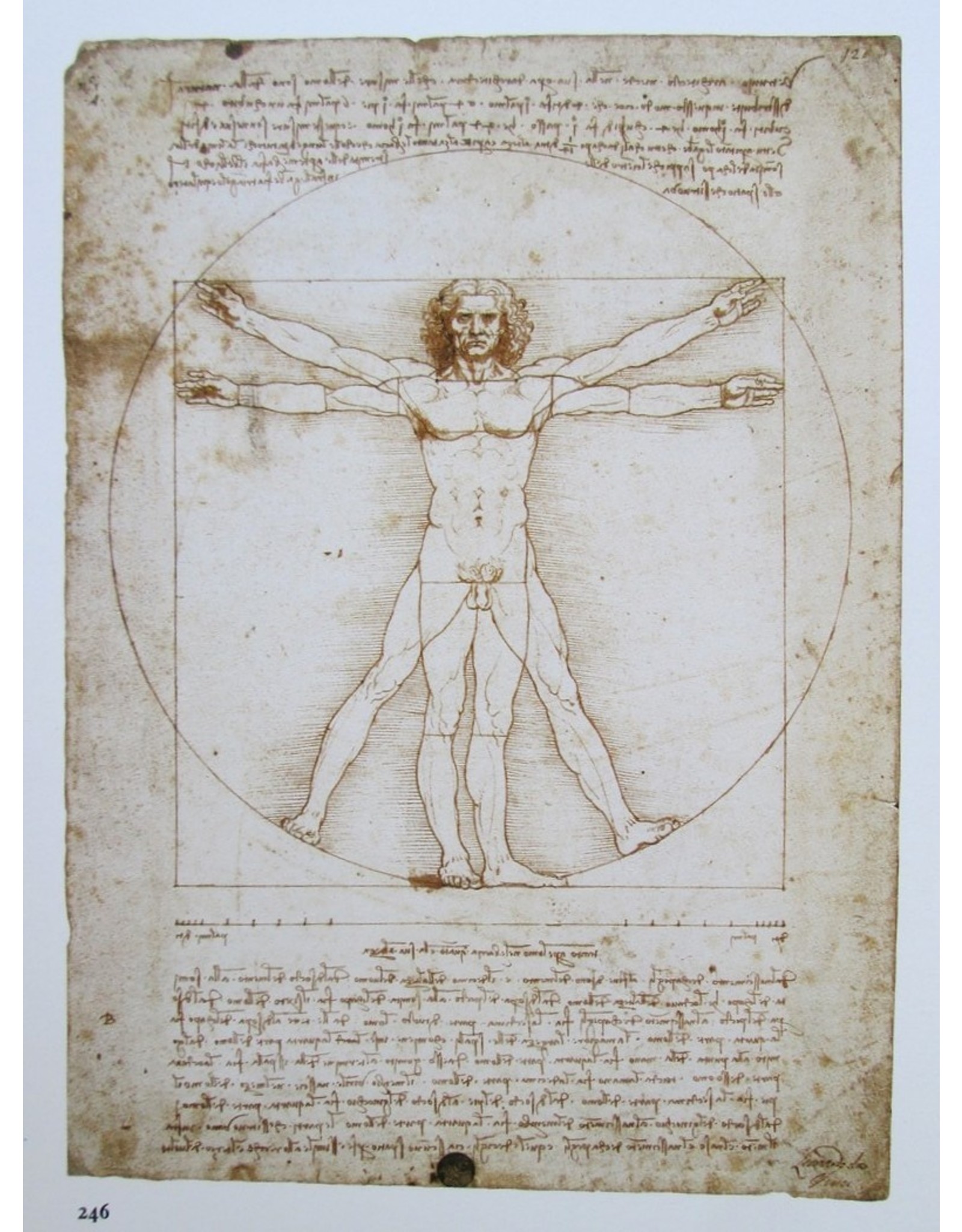 Frank Zöllner - Leonardo da Vinci 1452-1519. Alle schilderijen en tekeningen