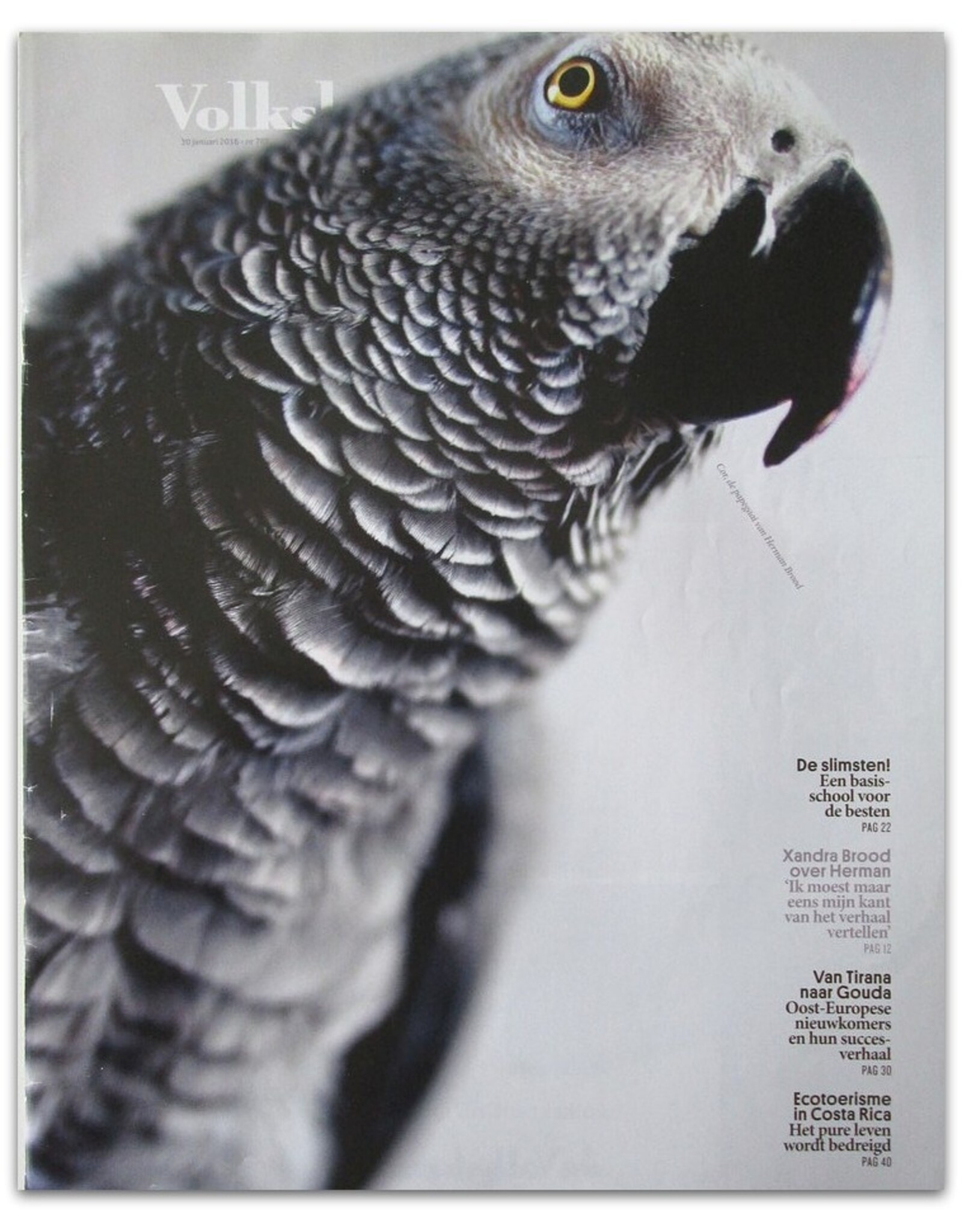 Gerard Wessel [e.a.] -Volkskrant Magazine 769: [Cor, de papegaai van Herman en Xandra Brood]