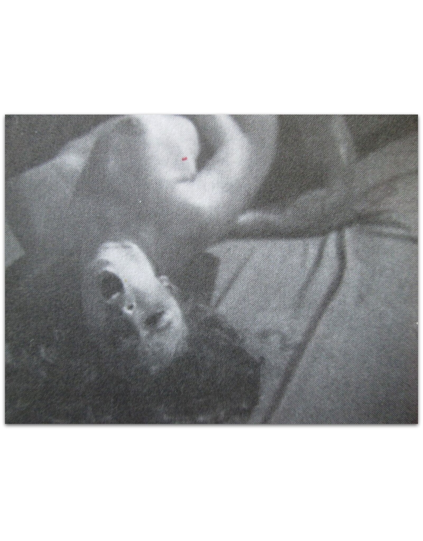 Jan Wenderhold [red.] - Chick Amsterdam Nr. 191: Samantha Fox ('Touch me')