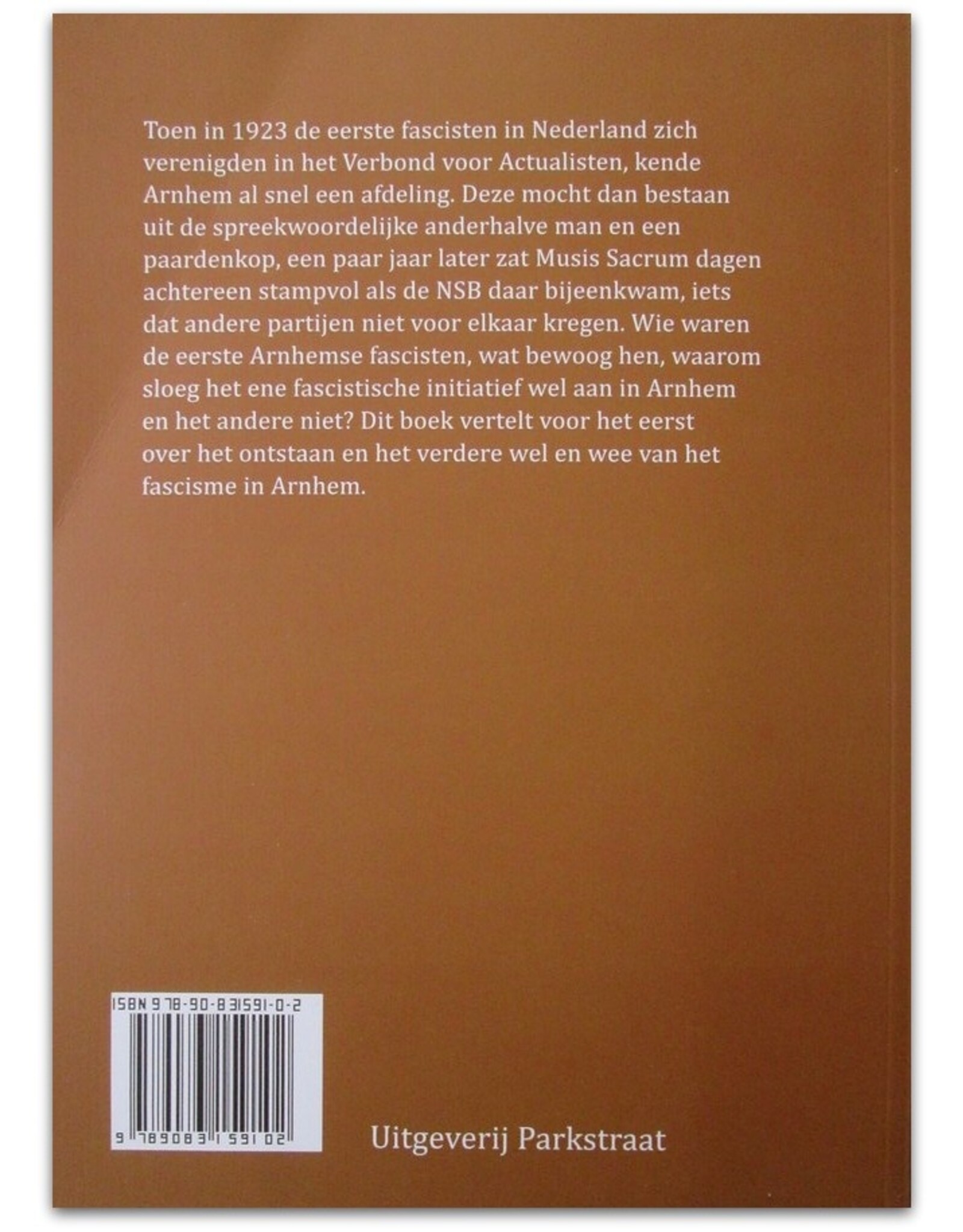 Stef Ketelaar - Een vage term die niet veel betekent. Het Arnhemse fascisme 1920-1940