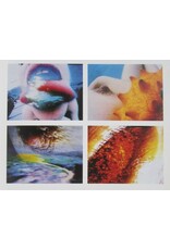 Änne Söll - Pipilotti Rist. Collector's Choice Artists' Monographs. Friedrich Christian Flick Collection: Volume 3