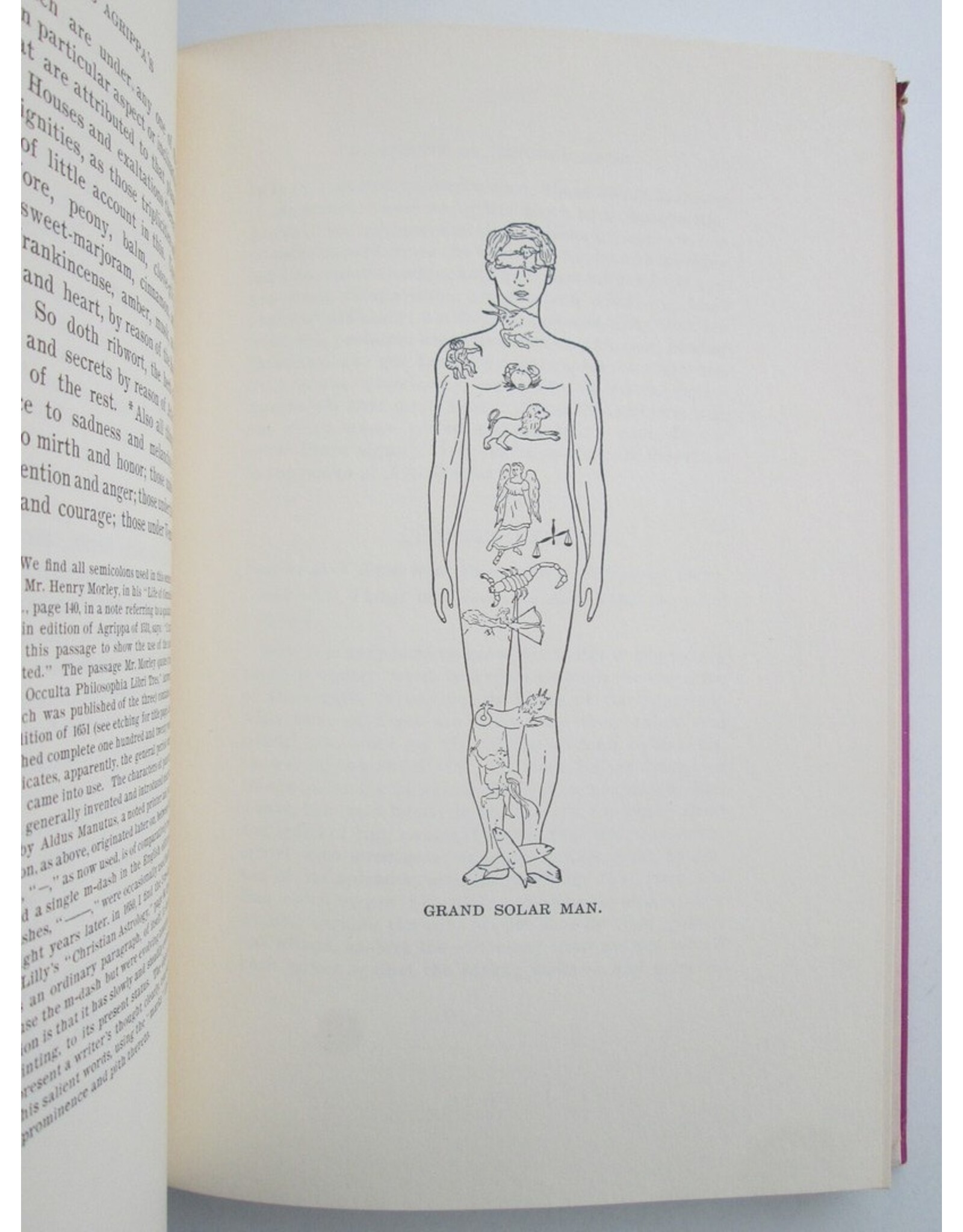 Cornelius Agrippa - Three Books of Occult Philosophy or Magic. Book One: Natural Magic which includes The Early Life of Agrippa [...]. Edited by Willis F. Whitehead