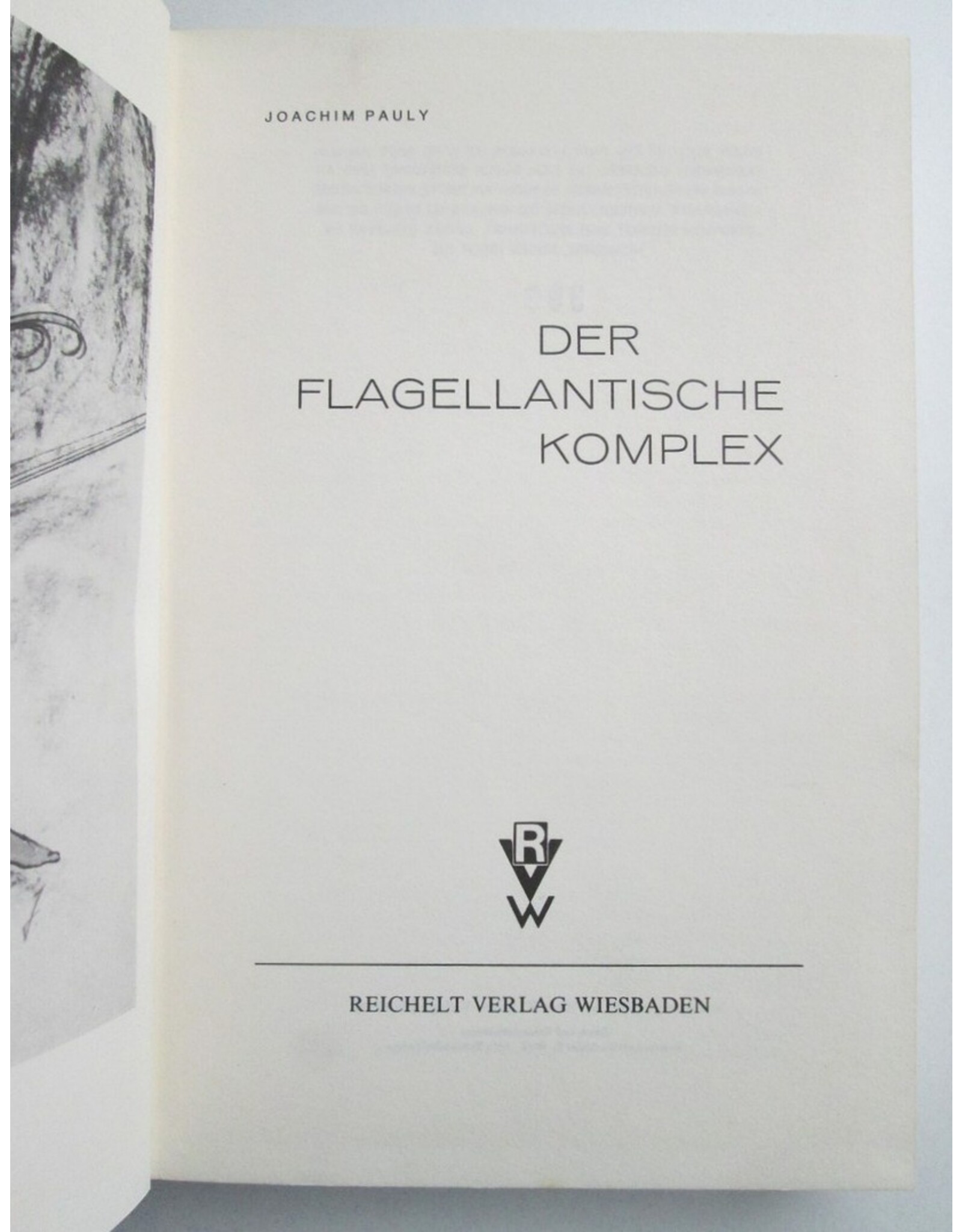 Joachim Pauly - Der flagellantische Komplex